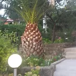 Nana *